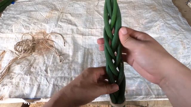 Sansevieria Cylindrica (Snake Plant) Braided Adds Beauty And Whimsical House Plant  EP.2