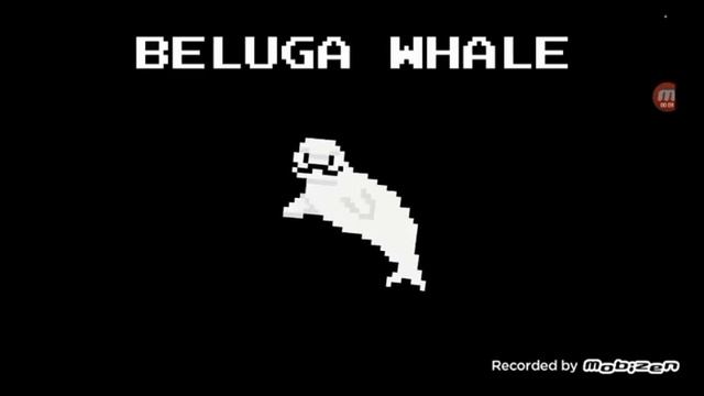 Beluga Whale (fixed) - @TheKidsPictureShow