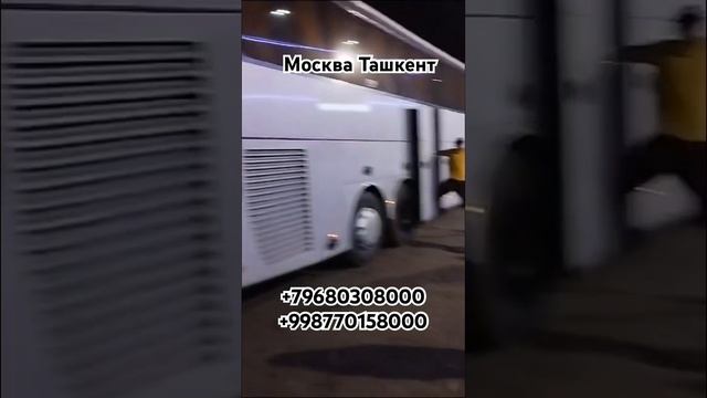 Москва Ташкент автобус #москва #ташкент #автобус #шортс ￼ смотреть онлайн