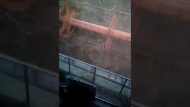 Комбайн Claas. Обмолот рапса.