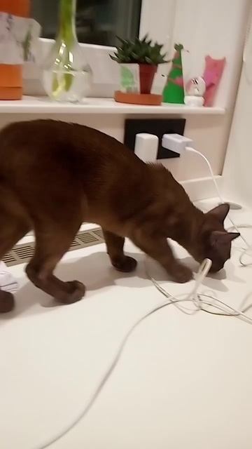 что вам нравится? смотреть онлайн