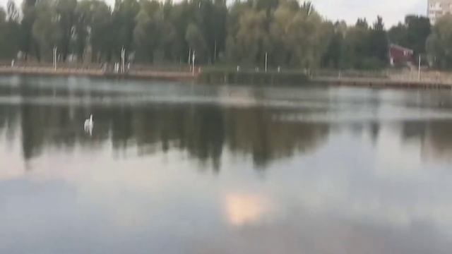 VLOG/ЛЕБЕДЯ , ЛИАНА ОТДЫХАЕТ , ДНО смотреть онлайн