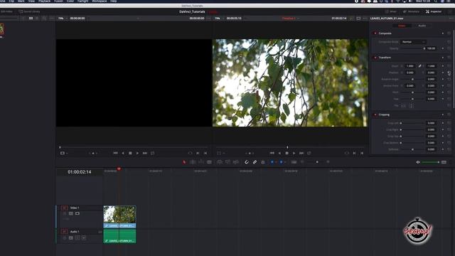 How to Zoom In on Clips in DaVinci Resolve смотреть онлайн