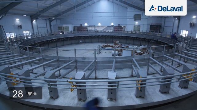 Монтаж и запуск роторного доильного зала DeLaval PR3100HD смотреть онлайн
