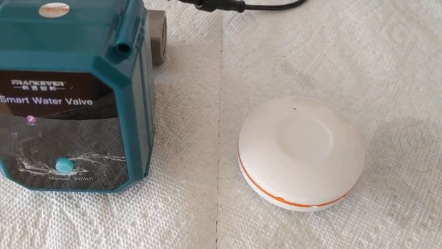 FRANKEVER Smart Water Valve смотреть онлайн