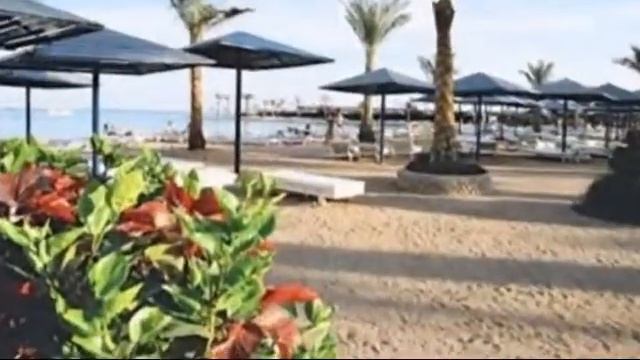 Regina Resort смотреть онлайн