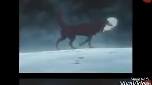 Аниме волки. Сказочная тайга. смотреть онлайн