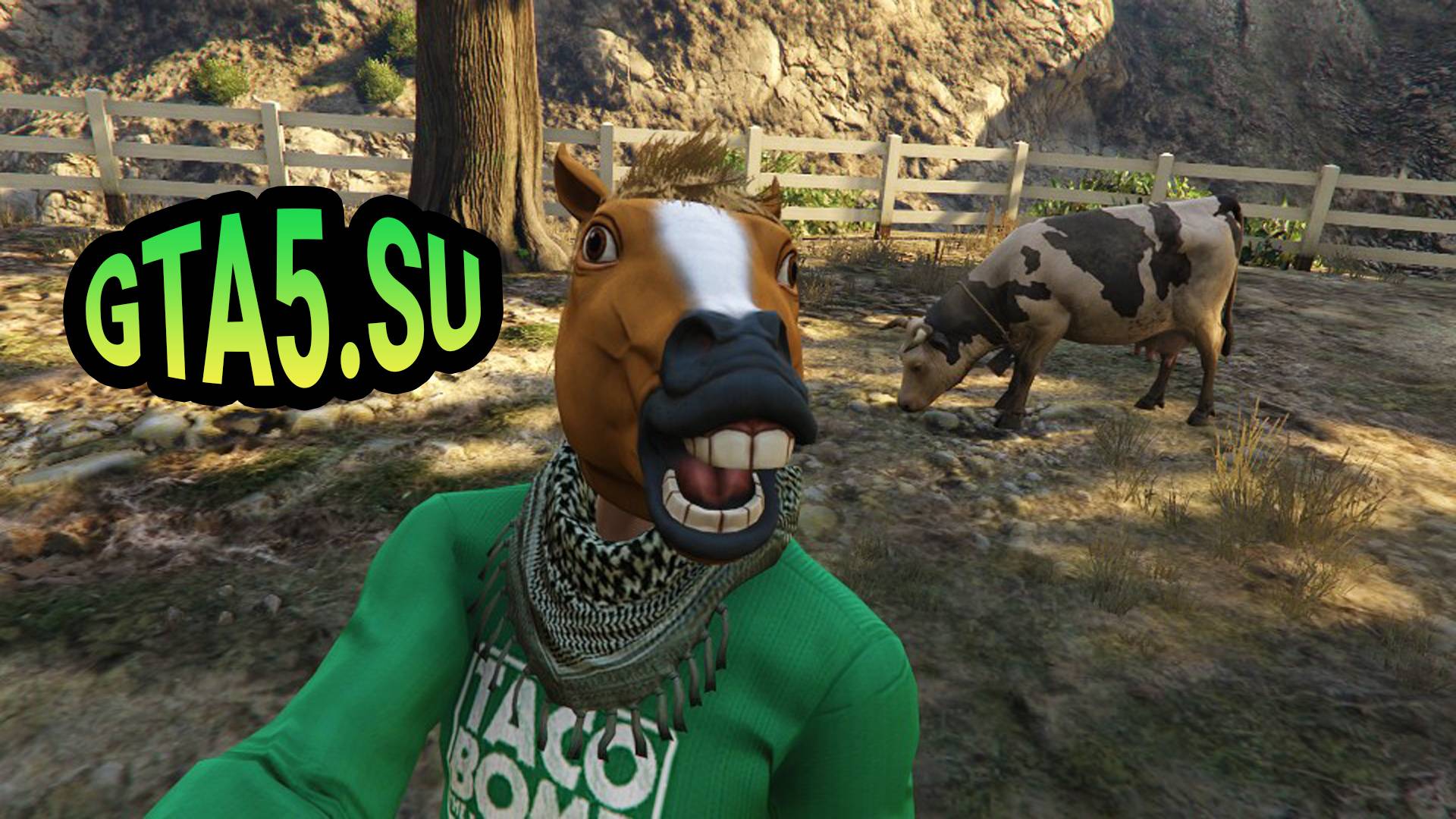 Лучшая версия GTA 5 на PC играем в GTA Online с животными и человеком конём смотреть онлайн