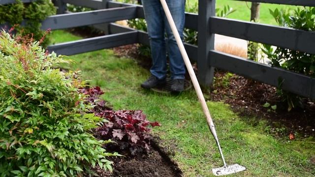 How to Use a Dutch Hoe - Quick Tip 😎 || West Coast Gardens смотреть онлайн