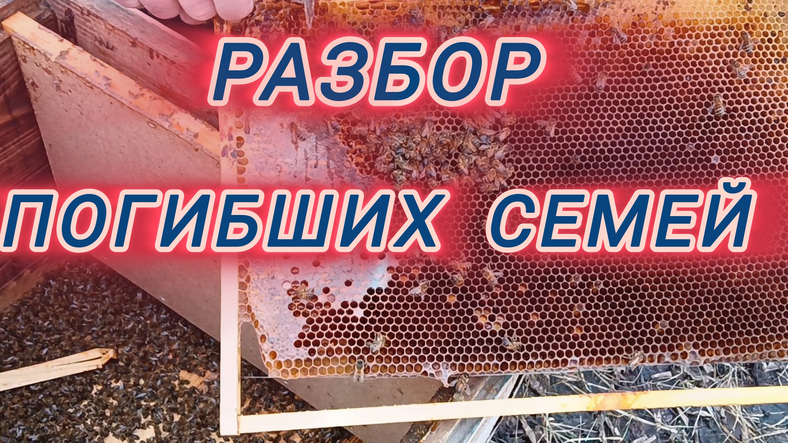 Разбор погибших семей смотреть онлайн