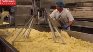 Как делают сыр