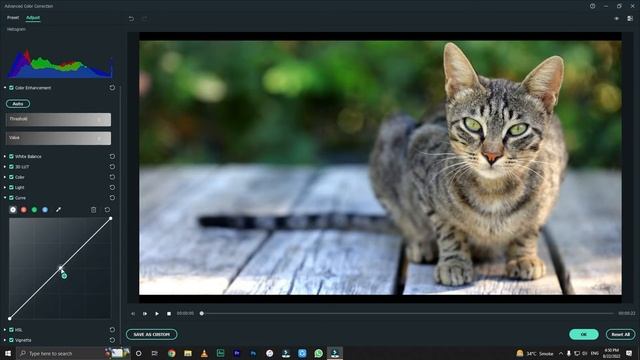 Wondershare Filmora 11.6.3 Free Download. What's new ? смотреть онлайн
