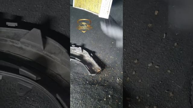 AUDI Q7 ETRON.Coupe Filter⚠️ I Don’t Understand Whether To Change Or Not🤔