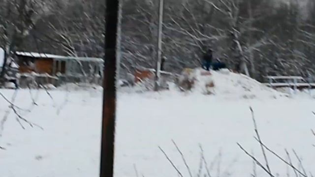 17 ноября 2015 г. смотреть онлайн