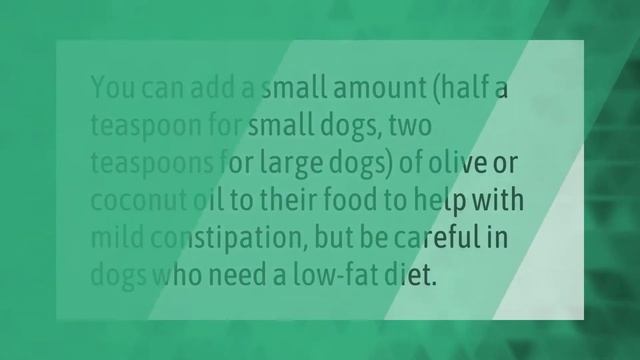 What is a natural laxative for dogs? смотреть онлайн