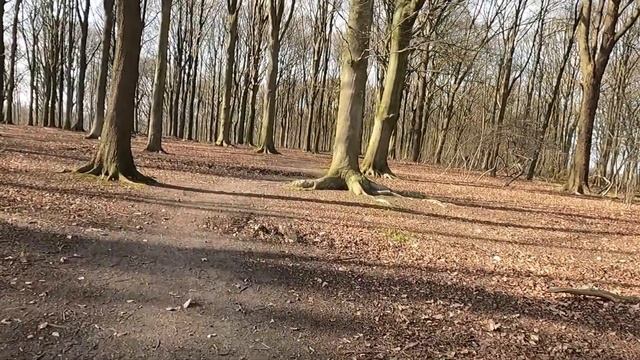 Kartelobos...camera Gopro 9 смотреть онлайн