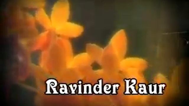 C:\Movavi files\videos clips\KULJIT SINGH WEDS RAVINDER KAUR.wmv смотреть онлайн