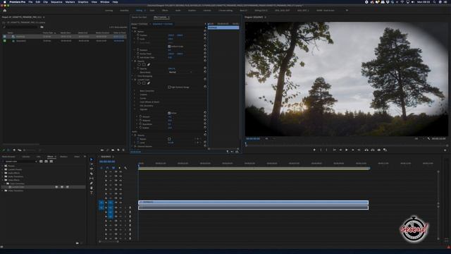 How To Create A Vignette Effect In Premiere Pro