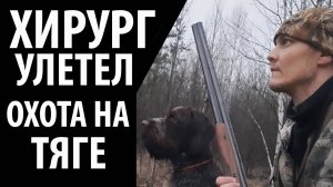 Охота на тяге. Весенняя охота на вальдшнепа