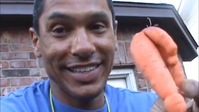 DO CARROTS HAVE SEX? смотреть онлайн