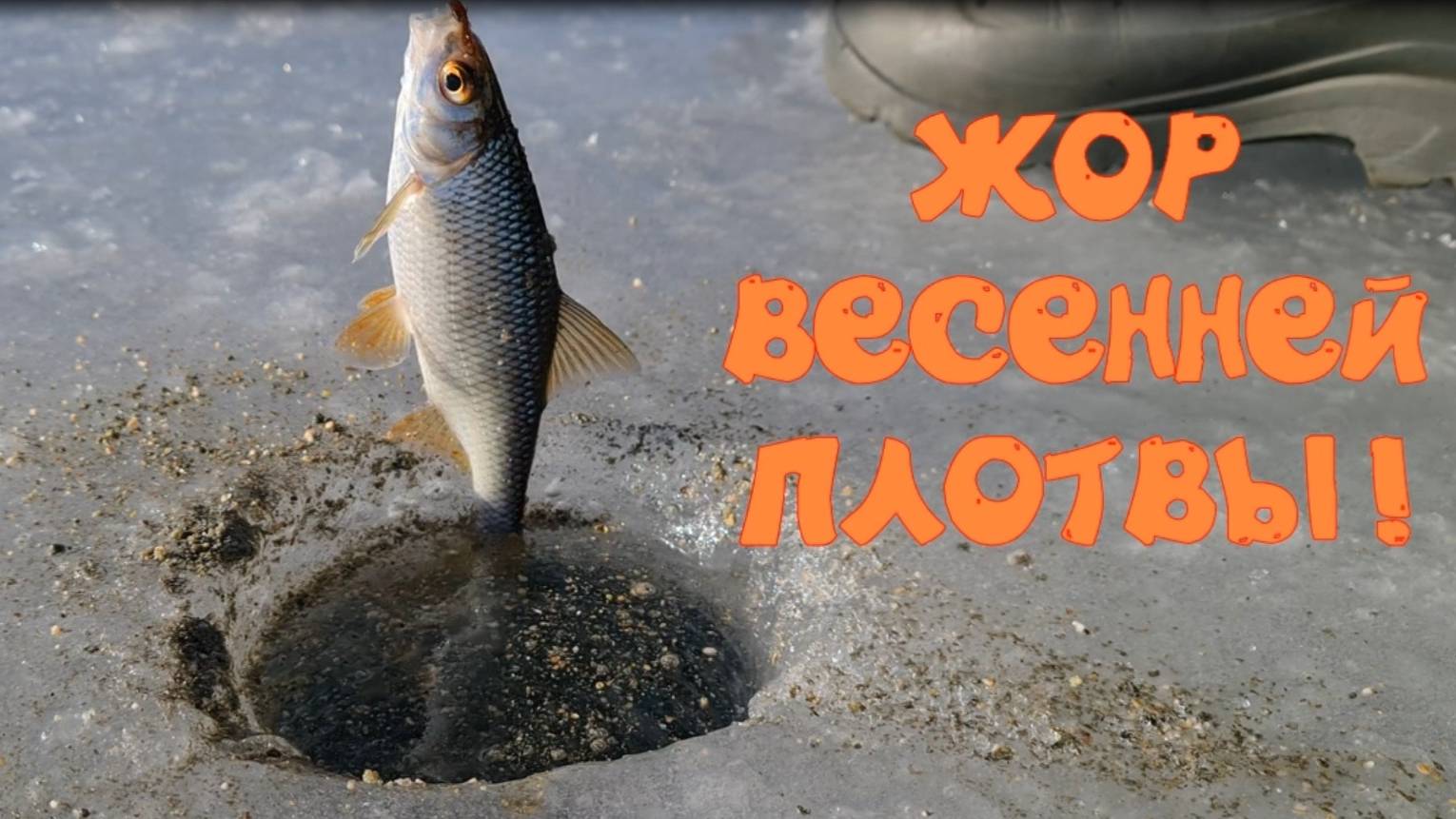 Бешеный клев весенней плотвы.