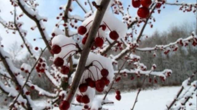 Every Season By Kenneth Cope смотреть онлайн