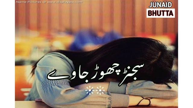💔💔#shala keno ishq na tewy#💔💔 смотреть онлайн