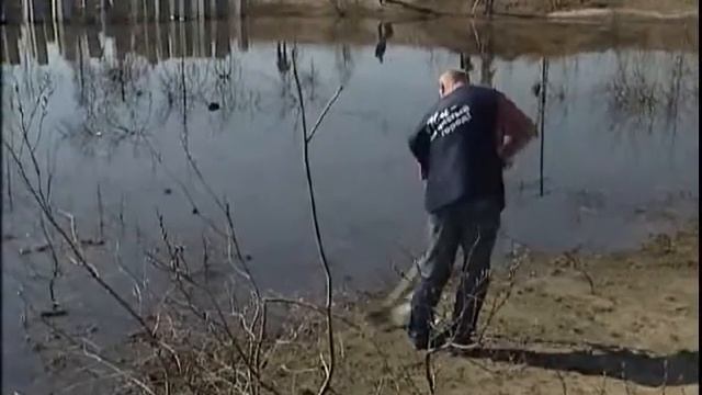 Порядок в наших руках