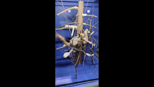 Бурылин природа смотреть онлайн