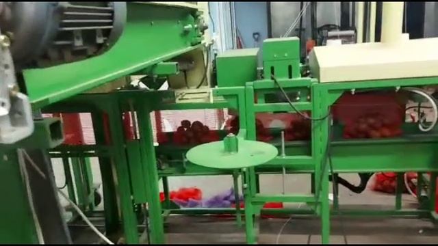Оборудование по фасовке овощей, картофеля, лука, моркови, свеклы смотреть онлайн
