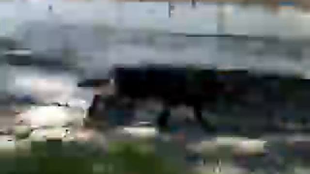 Поездка на этнический фестиваль за 2 минуты смотреть онлайн