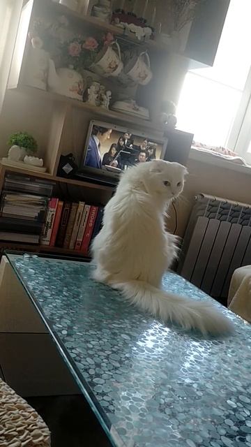 смотрит дораму "Вирус Бетховена". Уходит вместе с девушкой, которая теряет слух Кот родился глухим смотреть онлайн