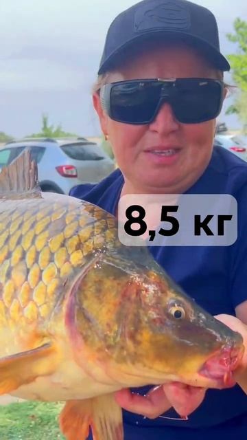 САЗАН! #рыбалка #карась #сазан #ловля #как #удочка #лучшая #рекомендации #донки #сом смотреть онлайн