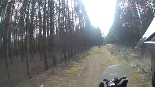 Покатушка по лесу CRF1000, xt660z, SWM смотреть онлайн