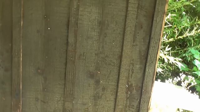 yamakiyardの草刈りやその他　Mowing and other work in the yamakiyard смотреть онлайн