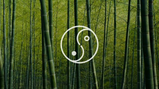 Tao Te Ching 50 смотреть онлайн