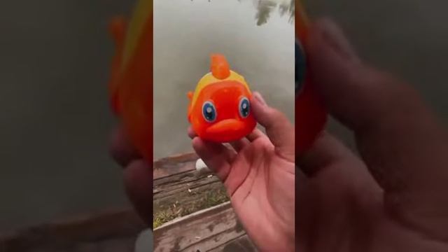 OLTIN BALIQ USHLAB OLGANINGIZDA NIMA QILARDINGIZ