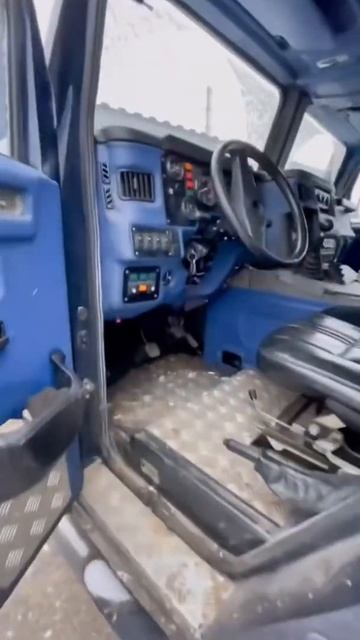 Гражданский Тигр!) смотреть онлайн