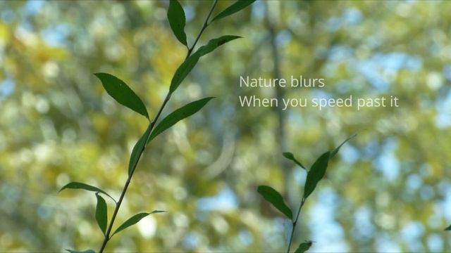 NATURE PHOTOGRAPHY SLIDESHOW 2 - PIRANDELLO CHROME PHOTOGRAPHY смотреть онлайн