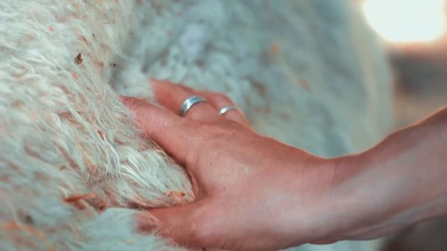 Irma Alpaka - Born In Peru