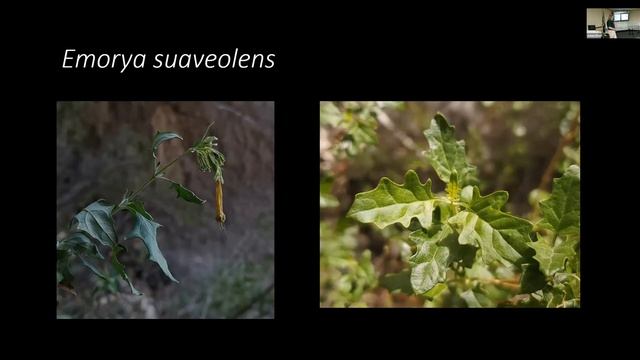 Plant Exploration: Geekiness with a Purpose смотреть онлайн
