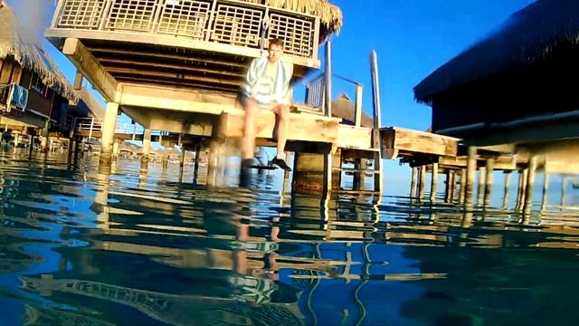 Moorea Honeymoon 2017 - Hilton Moorea Overwater Bungalow смотреть онлайн
