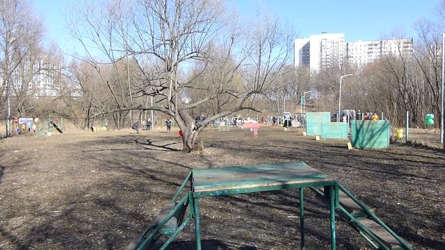 Хозяин и барбос - необычный кросс. 2017. СДП - "Москворечье - Сабурово". Володина Злата и ВЕО. смотреть онлайн