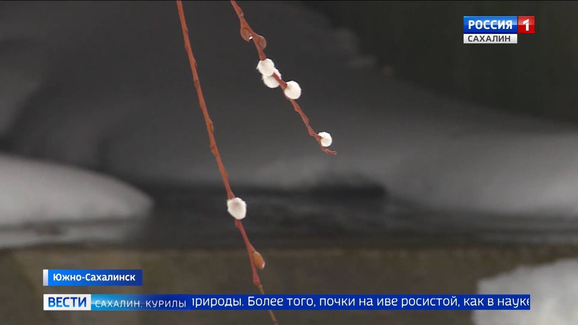 "Вести. Сахалин. Курилы". 11 марта 2025 года смотреть онлайн