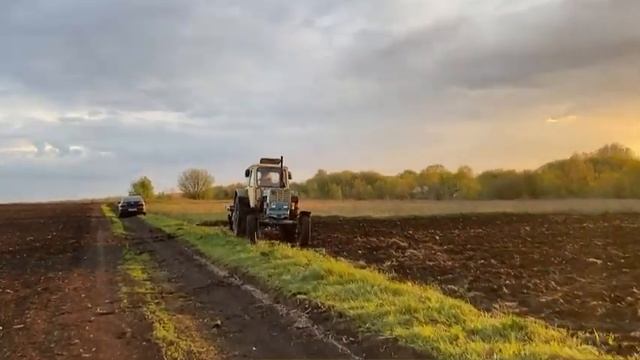 Дискуем огороды на тракторе ЮМЗ, разравниваем огороды смотреть онлайн
