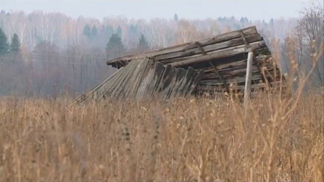 30 10 15 Можгинские ветеринары потребовали навести порядок со скотомогильниками на территории район