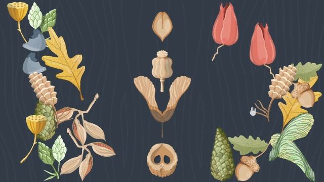 СИММЕТРИЯ ДОЛЖНА БЫТЬ ВО ВСЕМ ➤ A Little To The Left #4 смотреть онлайн