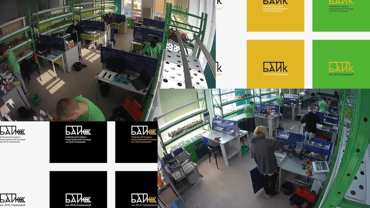 "Профессионалы" Сити-фермерство в Воронежской области