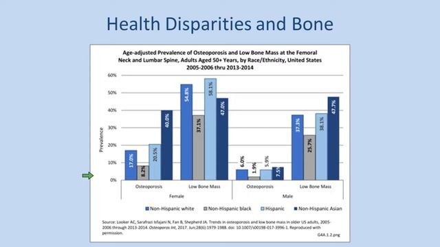 Bone Health Throughout the Lifespan: The Role of Dairy (Webinar) смотреть онлайн