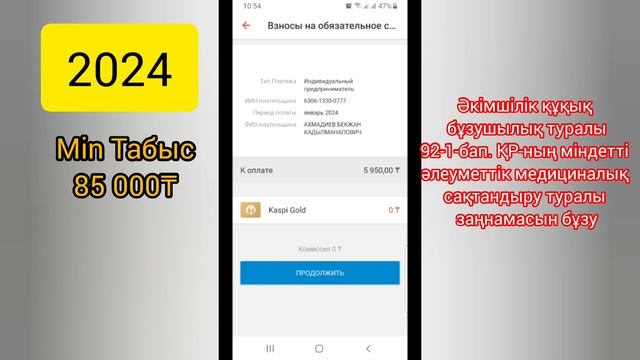 2024 жылы ИП иесі өзі үшін минималды қандай міндеті төлемдер төлейді смотреть онлайн
